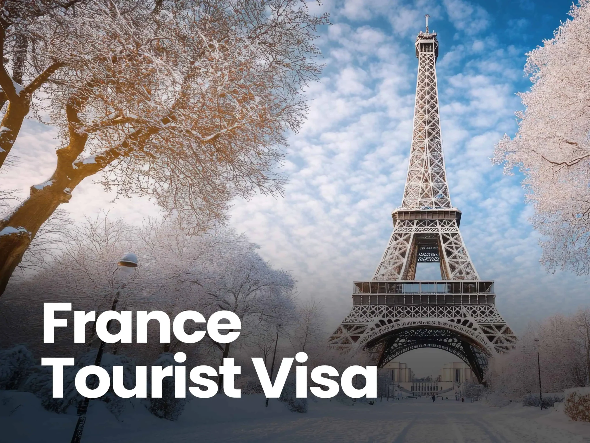 France-website-banner--2048x1536 France-website-banner--2048x1536